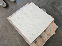 Iris marmi veined white silky vloertegel 75x75 cm 18,48 m² - afbeelding 5 van  7