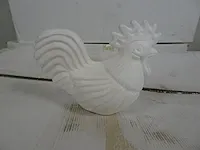 Isomo haan