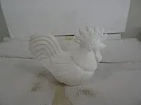 Isomo haan