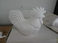 Isomo haan