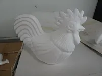 Isomo haan