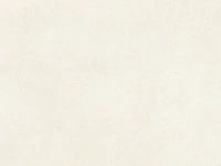 Ivory beige matt 60x120cm gerectificeerd 46,08m² - afbeelding 2 van  2