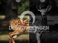 Izeeker wildcamera - afbeelding 5 van  7