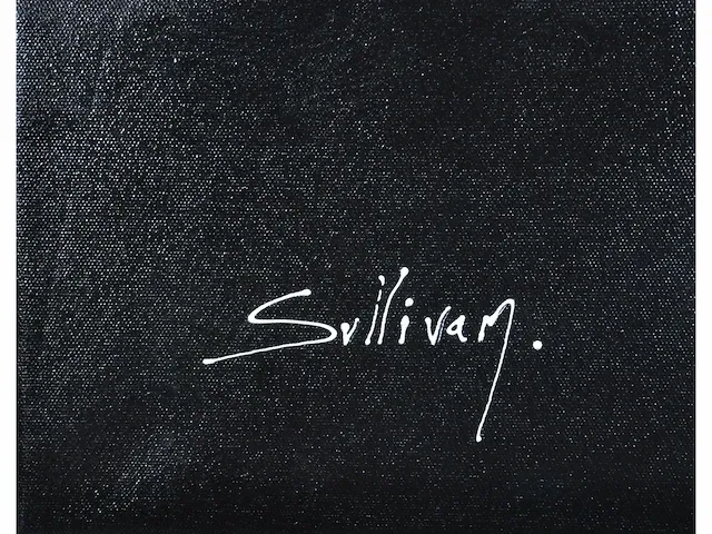 J. sullivan ( 1950 - ) - origineel, groot - afbeelding 6 van  8