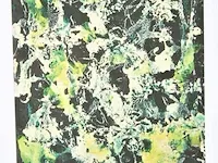 Jackson pollock - gelimiteerde editie - afbeelding 9 van  13