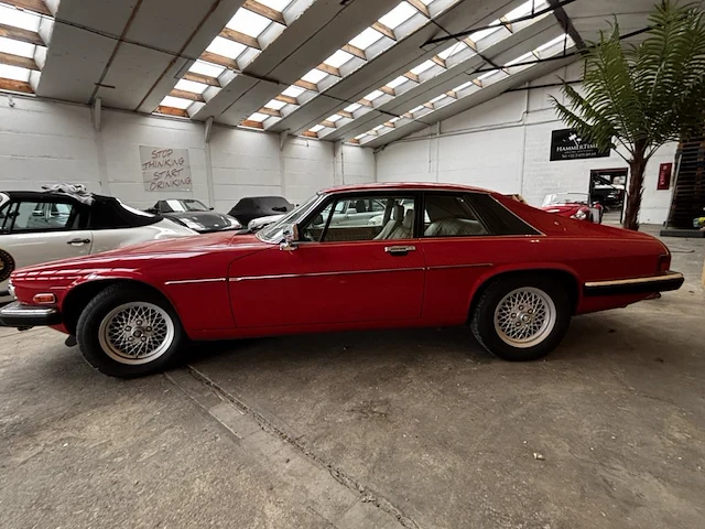 Jaguar xjs - afbeelding 23 van  24