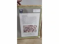 James ensor “de gramaschap” - afbeelding 7 van  7