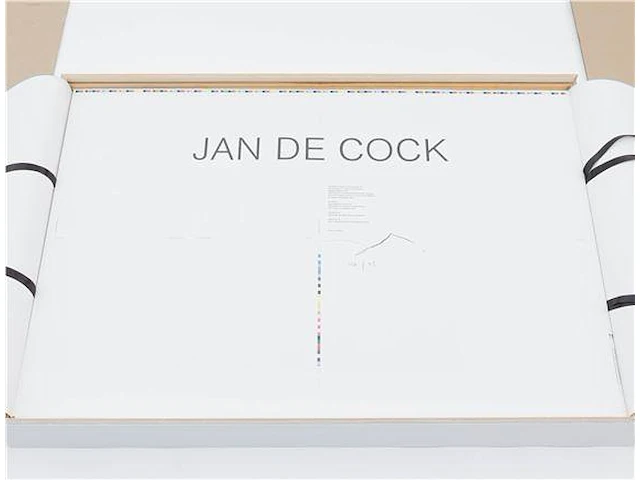 Jan de cock - occupying the museum (80x) - afbeelding 3 van  8