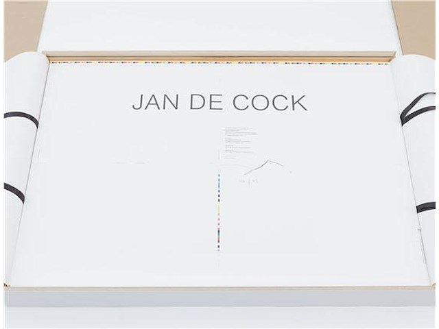 Jan de cock - occupying the museum (80x) - afbeelding 3 van  3