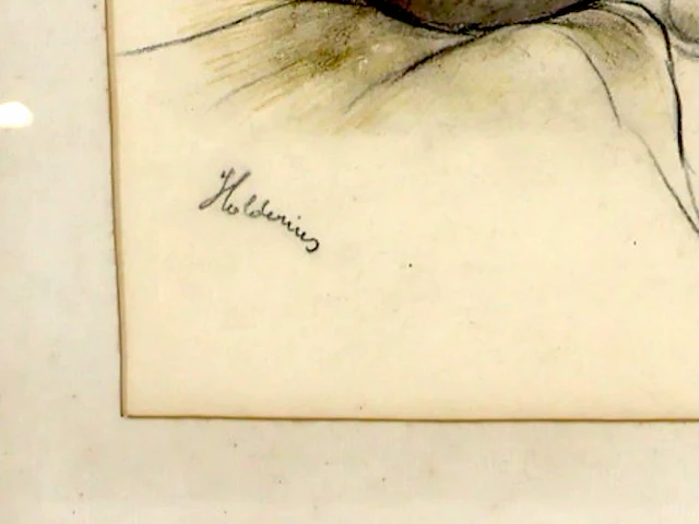 Jan van holder 'holderius' - afbeelding 3 van  4