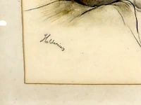 Jan van holder 'holderius' - afbeelding 3 van  4