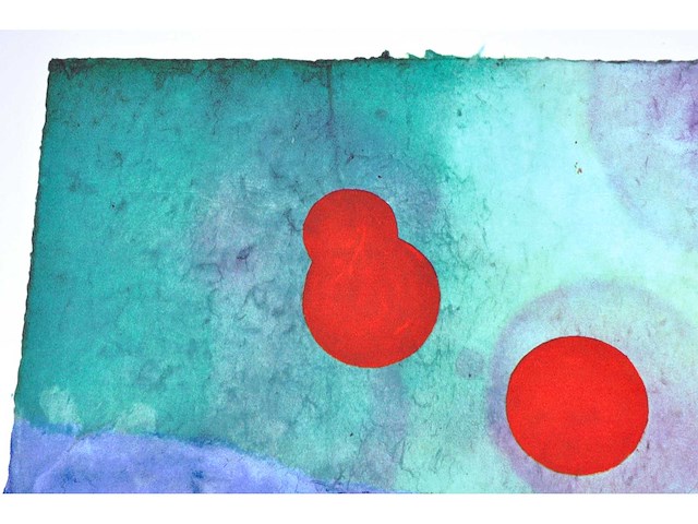 Jan vanriet - kleurenzeefdruk - 1/130 - afbeelding 6 van  8