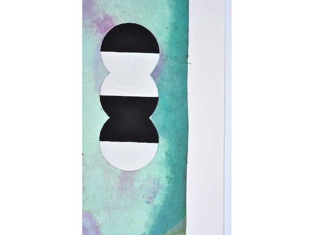 Jan vanriet - kleurenzeefdruk - 1/130 - afbeelding 7 van  8