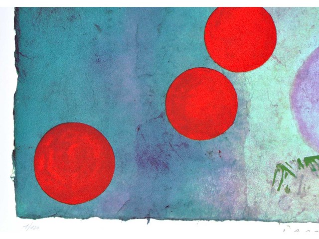 Jan vanriet - kleurenzeefdruk - 1/130 - afbeelding 8 van  8