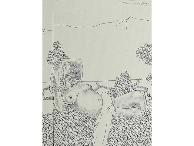 Jan vanriet - lithografie - afbeelding 1 van  7