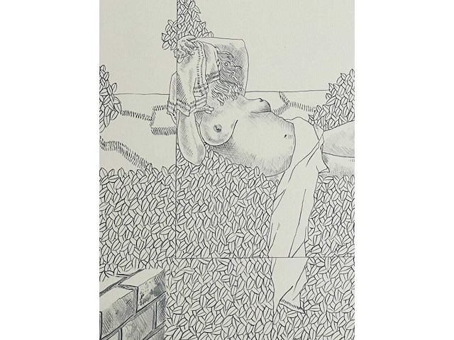 Jan vanriet - lithografie - afbeelding 5 van  7