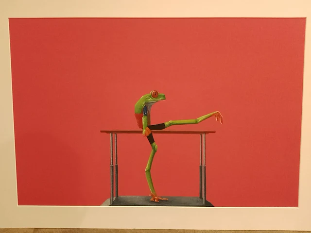 Jasper oostland “kikker” - afbeelding 1 van  2
