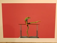 Jasper oostland “kikker” - afbeelding 1 van  2