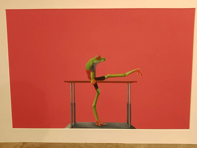 Jasper oostland “kikker” - afbeelding 2 van  2