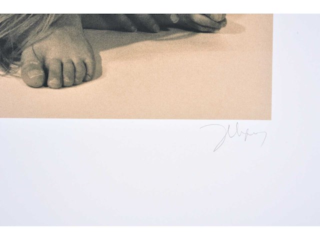 Jean coquelet - kleurenzeefdruk - 1/130 - afbeelding 3 van  6