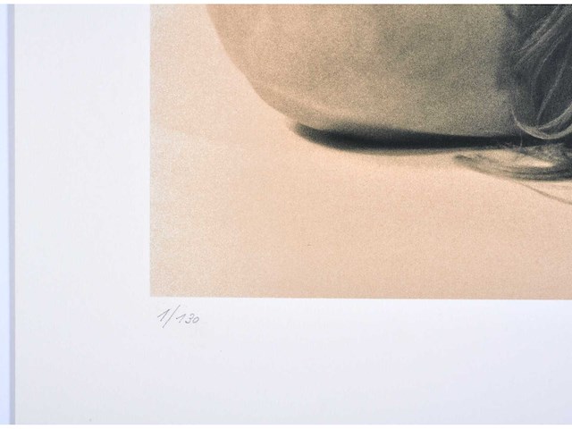 Jean coquelet - kleurenzeefdruk - 1/130 - afbeelding 4 van  6