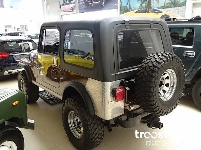 Jeep cj-7 4.2 (258) - afbeelding 23 van  44