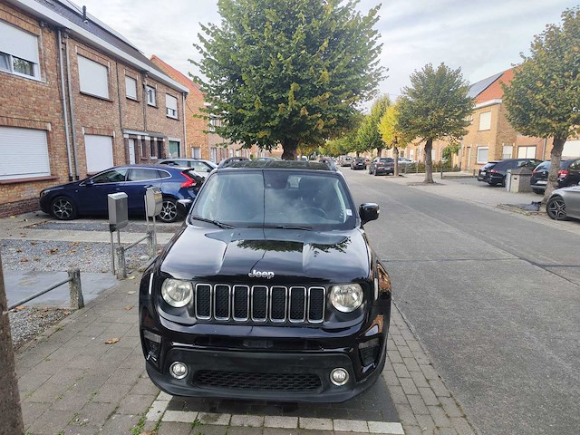 Jeep renegade - 2019 - afbeelding 13 van  15