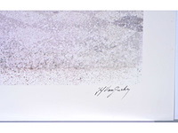 Jef van grieken - kleurenzeefdruk - 1/130 - afbeelding 3 van  7