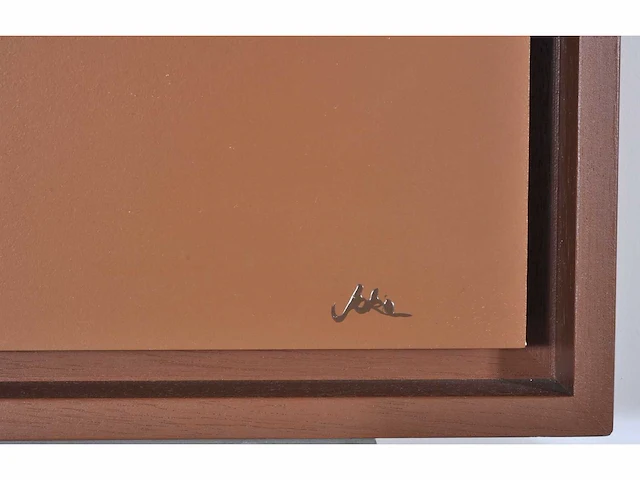 Joke debeuckelaere - acryl op paneel - afbeelding 3 van  7