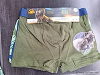 Jongens boxershorts jurassic park - afbeelding 1 van  3