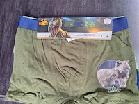 Jongens boxershorts jurassic park