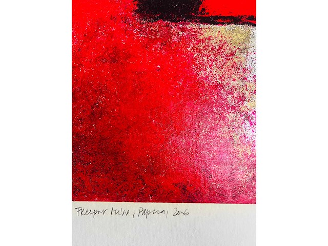 Jos van den berg - freeport mine papua - kleurenzeefdruk - afbeelding 5 van  19