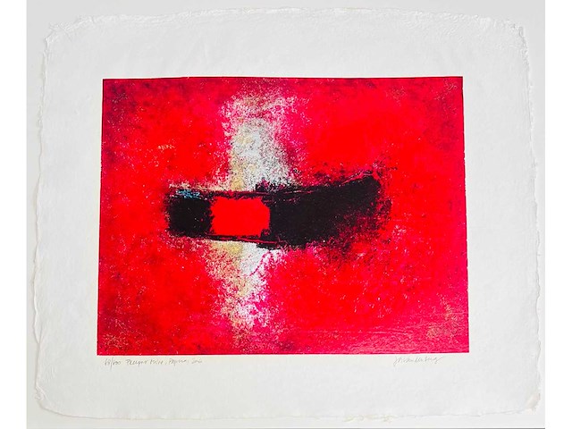 Jos van den berg - freeport mine papua - kleurenzeefdruk - afbeelding 19 van  19