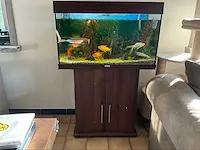 Juwel aquarium met toebehoren - afbeelding 2 van  4