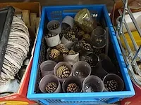 Kaarspotjes met decoratie materialen - afbeelding 4 van  5