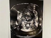 Kader kunstfoto schedel - afbeelding 1 van  1