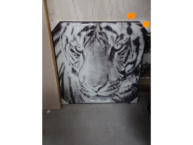 Kader leeuw - afbeelding 1 van  1