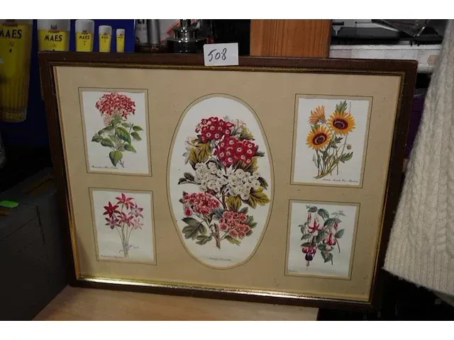 Kader met bloemen - afbeelding 1 van  1