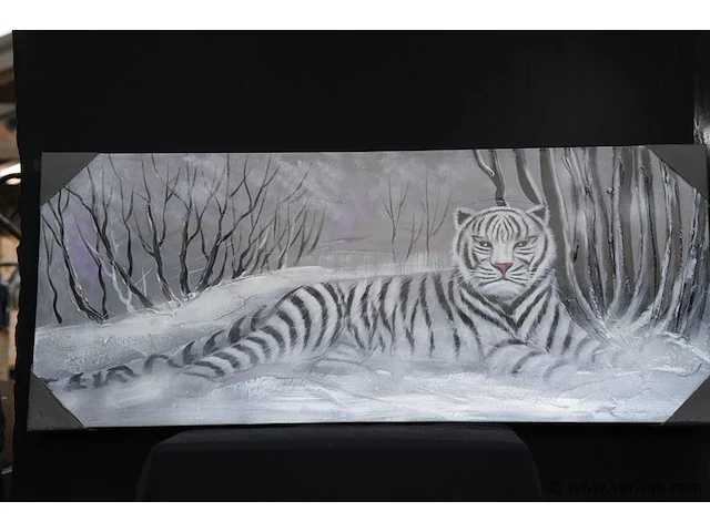 Kader tijger - afbeelding 1 van  1