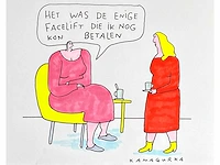 Kamagurka - facelift - inkt en kleurstift op papier - ingelijst - afbeelding 1 van  5