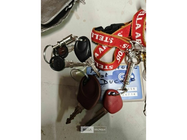 Kampeer auto fiat - afbeelding 11 van  69