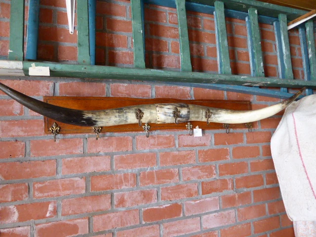 Kapstok hoorns - afbeelding 1 van  1