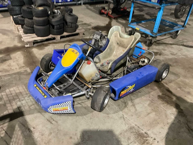 Kart - afbeelding 1 van  7