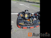 Karting crg 270 cc - honda motor - afbeelding 4 van  4