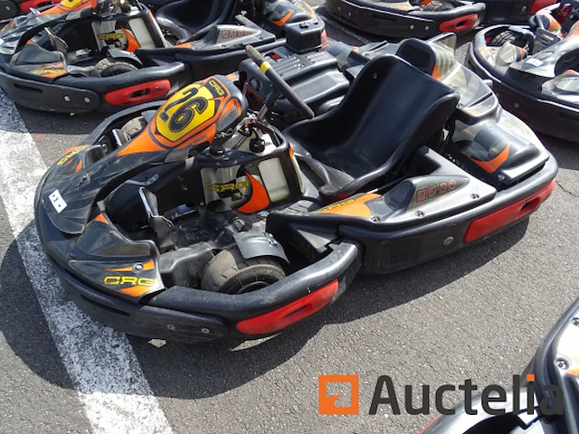 Karting crg 270 cc - honda motor - afbeelding 3 van  4