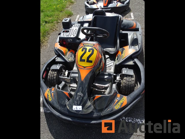 Karting crg 270 cc - honda motor - afbeelding 1 van  4