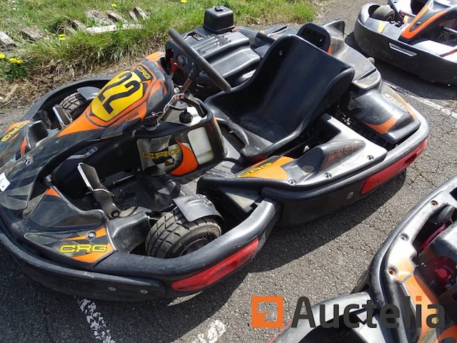 Karting crg 270 cc - honda motor - afbeelding 2 van  4