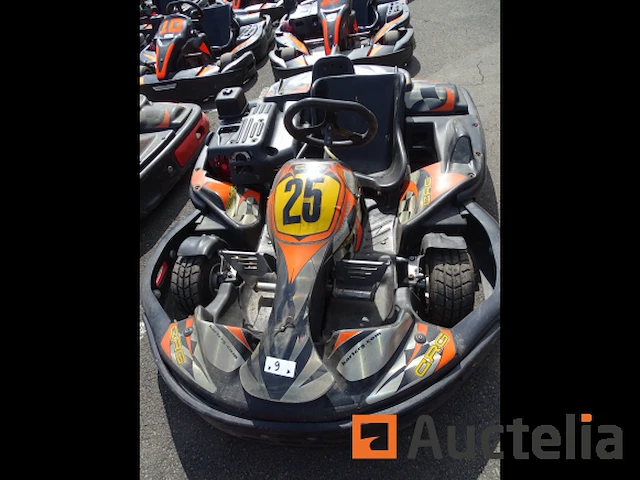 Karting crg 270 cc - honda motor - afbeelding 1 van  4