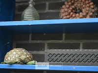 Kast met inhoud partij div deco materialen - afbeelding 9 van  10