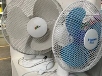 Kast met inhoud - afbeelding 4 van  8